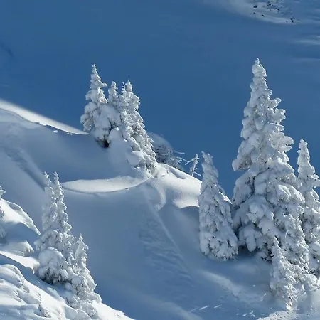 公寓 Montana Centre, Chaleureux Proche Des Pistes ! 克莱恩 蒙塔纳