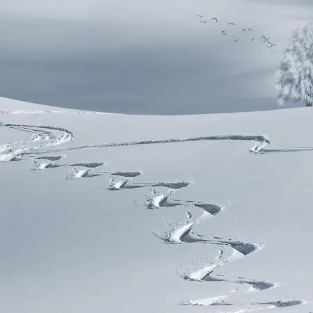 Montana Centre, Chaleureux Proche Des Pistes ! * Crans-Montana